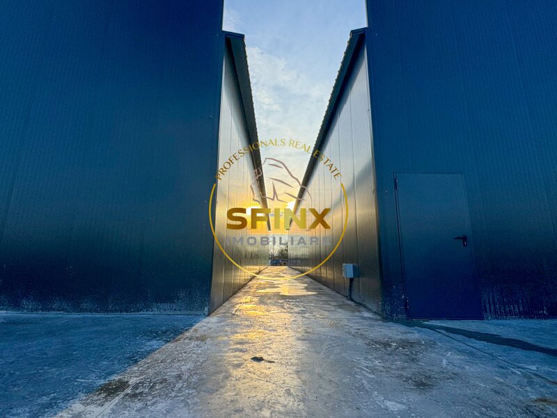 Hala constructie 2025 Bragadiru acces A0